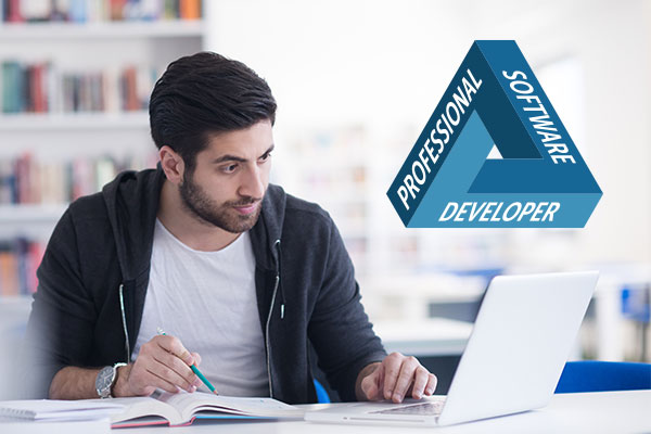 professional-software-developer