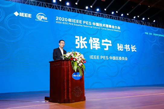 张怿宁秘书长宣布技术委员会成立